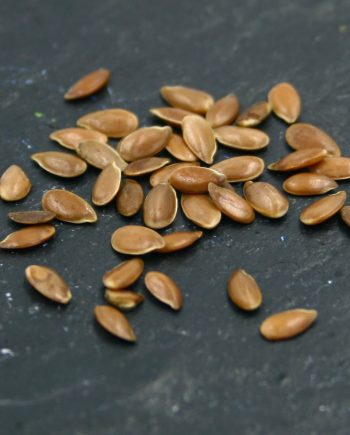 Hørfrø 25 kg - Kvalitet til en god pris!