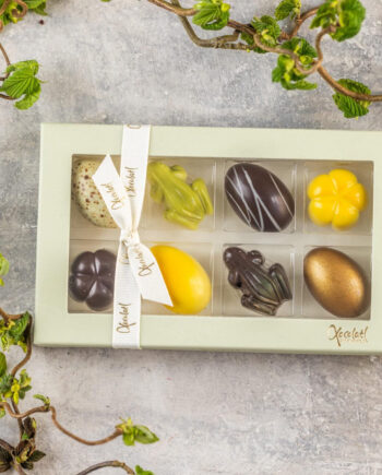 Gaveæske med 8 fyldte chokolader - Xocolatl